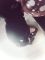 Alazat90 (36) - Fetisiszta, Szubmisszív, Szadista Hetero Férfi & Szolga - Bács-Kiskun - város nélkül