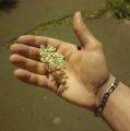 JustYouAndMe 